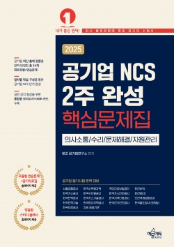 공기업 NCS 2주 완성 핵심문제집